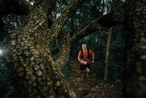 BIB: 
                            <button type="button" onclick="openModal(25697144)" class="btn btn-primary btn-sm float-right btn-popup" data-toggle="modal" data-target=".modal-high-quality">
                        <i class="fas fa-shopping-cart"></i> Add to Cart
                    </button>
                                            <button type="button" onclick="isThisMe(25697144, true)" class="btn btn-success btn-sm float-right btn-popup btn-isme hidden" data-toggle="tooltip" data-placement="bottom" title="นี่คือรูปของคุณใช่ไหม คลิกที่นี่เพื่อเอาเข้าอัลบั้ม">
                        <i class="fas fa-plus"></i> Add to album
                    </button>
                    <button type="button" onclick="isThisMe(25697144, false)" class="btn btn-warning btn-sm float-right btn-popup btn-isnotme hidden">
                        <i class="fas fa-ban"></i> Remove from album
                    </button>